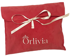 Pochette en velours