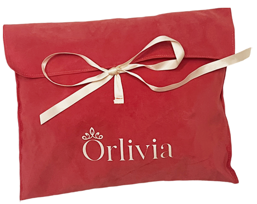 Pochette en velours